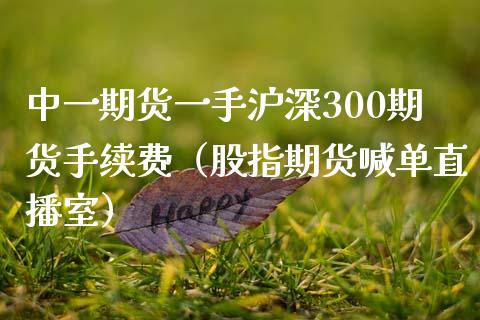 中一期货一手沪深300期货手续费（股指期货喊单直播室）_https://www.shkeyin.com_国际期货直播_第1张