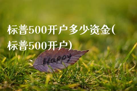 标普500开户多少资金(标普500开户)_https://www.shkeyin.com_期货直播_第1张