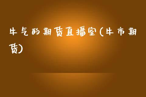 牛气的期货直播室(牛市期货)_https://www.shkeyin.com_纳指直播间_第1张