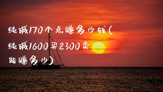 纯碱170个点赚多少钱(纯碱1600买2300卖能赚多少)_https://www.shkeyin.com_期货直播_第1张