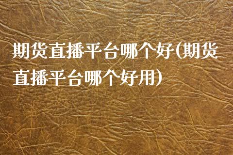 期货直播平台哪个好(期货直播平台哪个好用)_https://www.shkeyin.com_纳指直播间_第1张