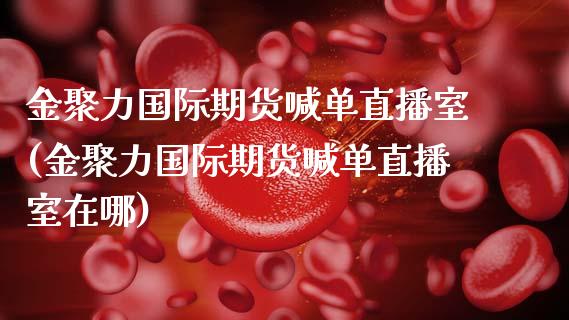 金聚力国际期货喊单直播室(金聚力国际期货喊单直播室在哪)_https://www.shkeyin.com_黄金直播_第1张