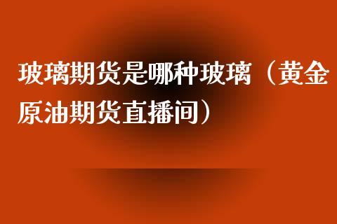 玻璃期货是哪种玻璃（黄金原油期货直播间）_https://www.shkeyin.com_黄金直播_第1张