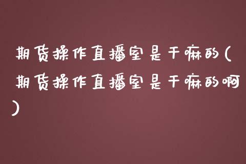 期货操作直播室是干嘛的(期货操作直播室是干嘛的啊)_https://www.shkeyin.com_德指直播间_第1张