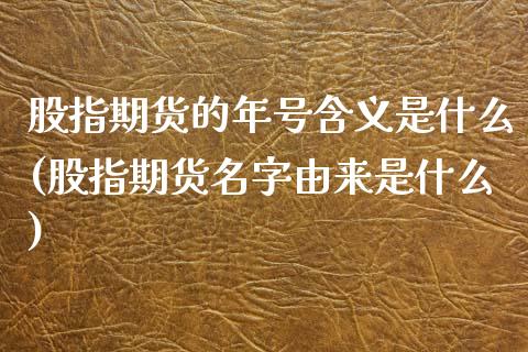 股指期货的年号含义是什么(股指期货名字由来是什么)_https://www.shkeyin.com_恒生指数直播_第1张