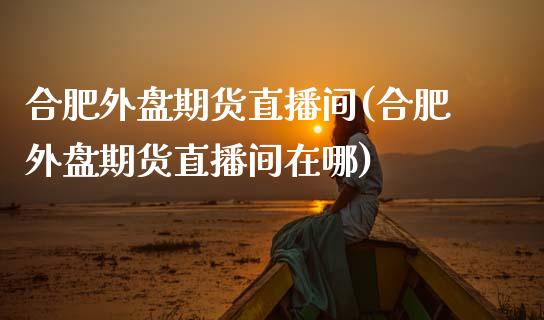 合肥外盘期货直播间(合肥外盘期货直播间在哪)_https://www.shkeyin.com_原油直播_第1张