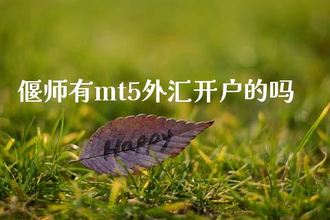 偃师有mt5外汇开户的吗_https://www.shkeyin.com_国际期货直播_第1张