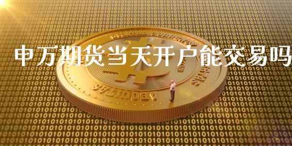 申万期货当天开户能交易吗_https://www.shkeyin.com_原油直播_第1张