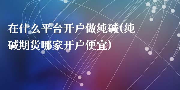 在什么平台开户做纯碱(纯碱期货哪家开户便宜)_https://www.shkeyin.com_原油直播_第1张