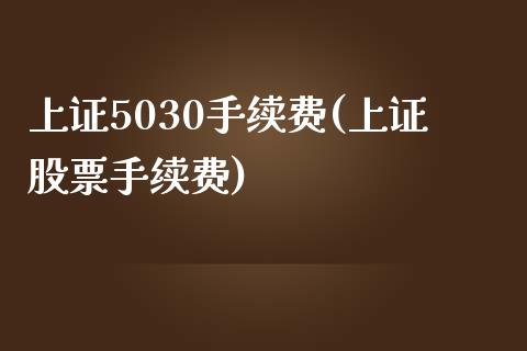 上证5030手续费(上证股票手续费)_https://www.shkeyin.com_恒生指数直播_第1张