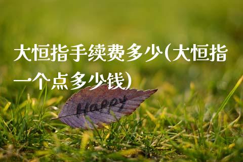 大恒指手续费多少(大恒指一个点多少钱)_https://www.shkeyin.com_黄金直播_第1张