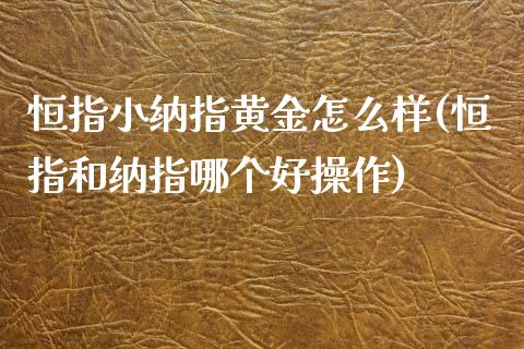 恒指小纳指黄金怎么样(恒指和纳指哪个好操作)_https://www.shkeyin.com_纳指直播间_第1张