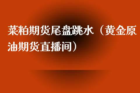 菜粕期货尾盘跳水（黄金原油期货直播间）_https://www.shkeyin.com_黄金直播_第1张