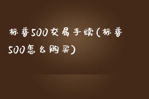 标普500交易手续(标普500怎么购买)_https://www.shkeyin.com_原油直播_第1张