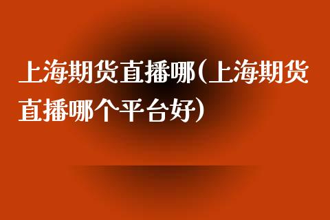 上海期货直播哪(上海期货直播哪个平台好)_https://www.shkeyin.com_纳指直播间_第1张