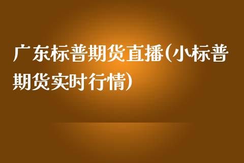 广东标普期货直播(小标普期货实时行情)_https://www.shkeyin.com_期货直播_第1张