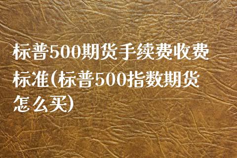 标普500期货手续费收费标准(标普500指数期货怎么买)_https://www.shkeyin.com_期货直播_第1张