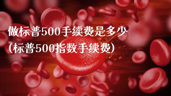 做标普500手续费是多少(标普500指数手续费)_https://www.shkeyin.com_期货直播_第1张