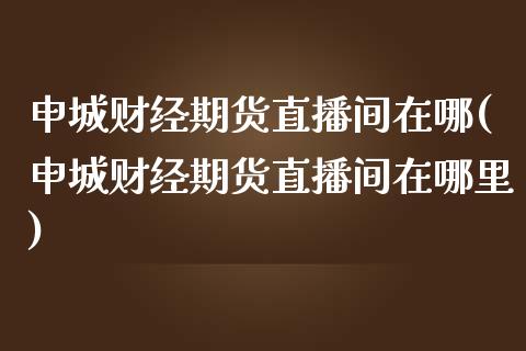 申城财经期货直播间在哪(申城财经期货直播间在哪里)_https://www.shkeyin.com_纳指直播间_第1张