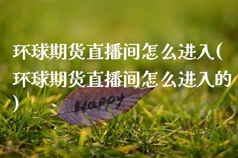 环球期货直播间怎么进入(环球期货直播间怎么进入的)_https://www.shkeyin.com_恒生指数直播_第1张