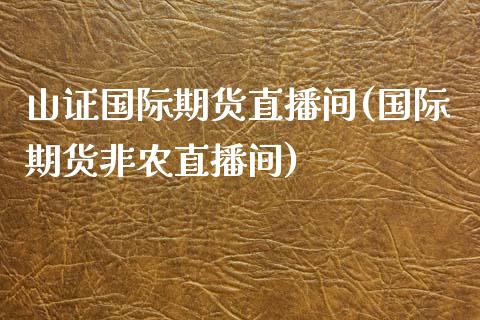 山证国际期货直播间(国际期货非农直播间)_https://www.shkeyin.com_恒生指数直播_第1张