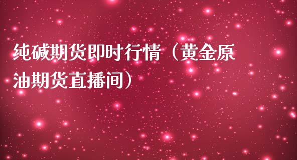 纯碱期货即时行情（黄金原油期货直播间）_https://www.shkeyin.com_黄金直播_第1张