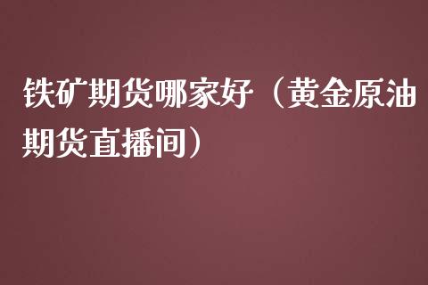 铁矿期货哪家好（黄金原油期货直播间）_https://www.shkeyin.com_纳指直播间_第1张