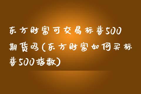 东方财富可交易标普500期货吗(东方财富如何买标普500指数)_https://www.shkeyin.com_德指直播间_第1张