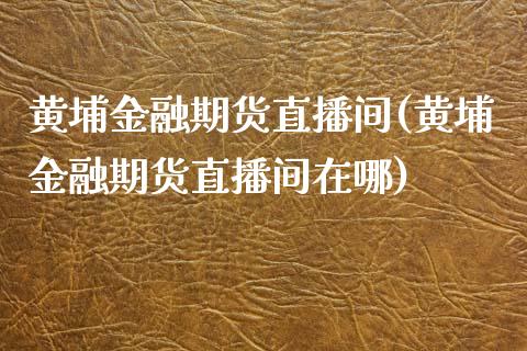 黄埔金融期货直播间(黄埔金融期货直播间在哪)_https://www.shkeyin.com_德指直播间_第1张