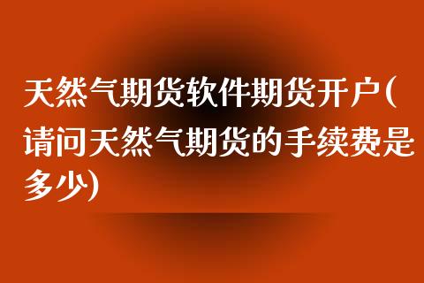 天然气期货软件期货开户(请问天然气期货的手续费是多少)_https://www.shkeyin.com_原油直播_第1张